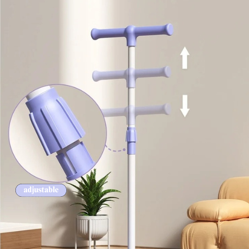 Bodi Move - Fitness Board